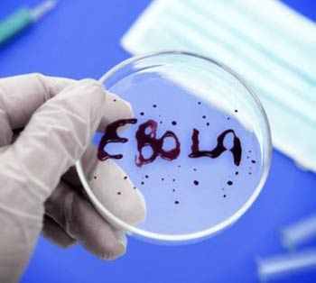 1-Ebola-sazog-2